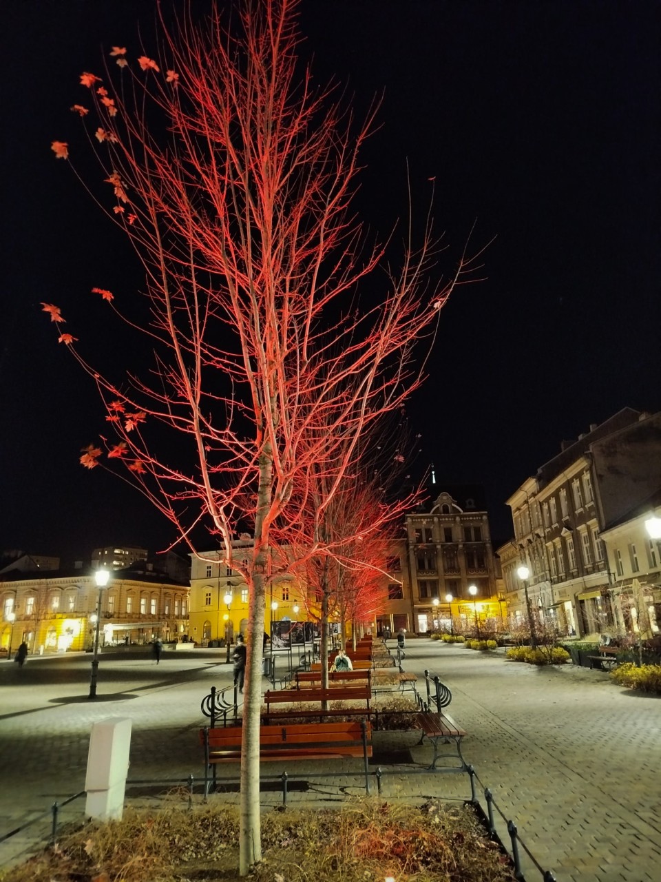 Dzieciństwo bez przemocy