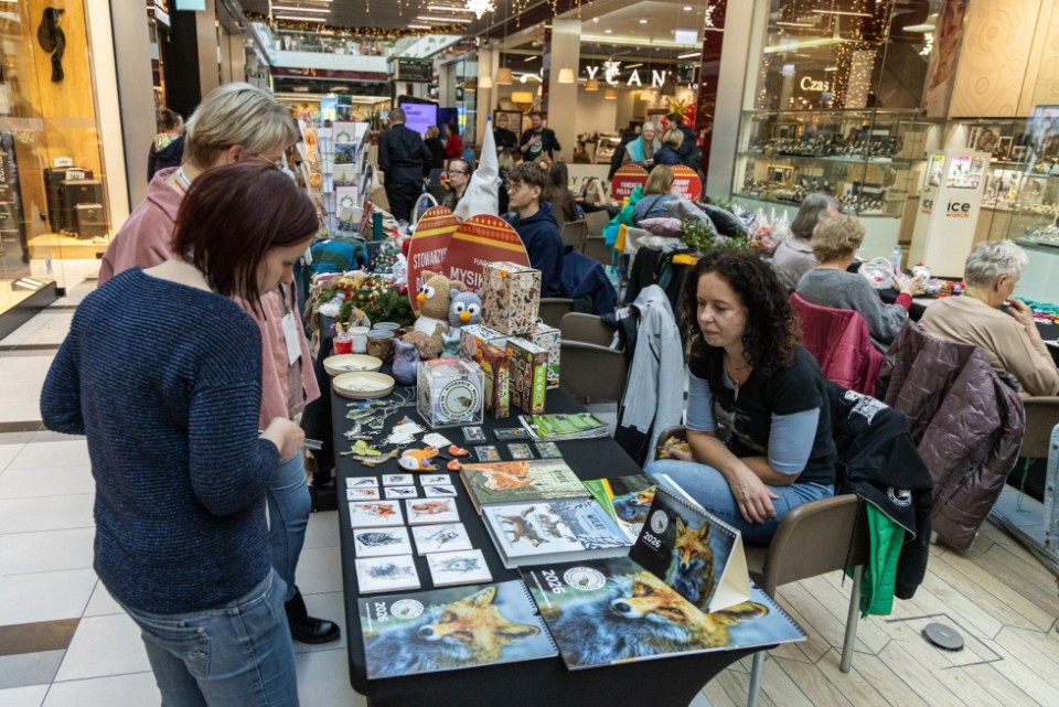 Piknik Organizacji Pozarządowych