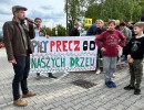 Sarni Stok: piły precz od naszych drzew [film, zdjęcia]