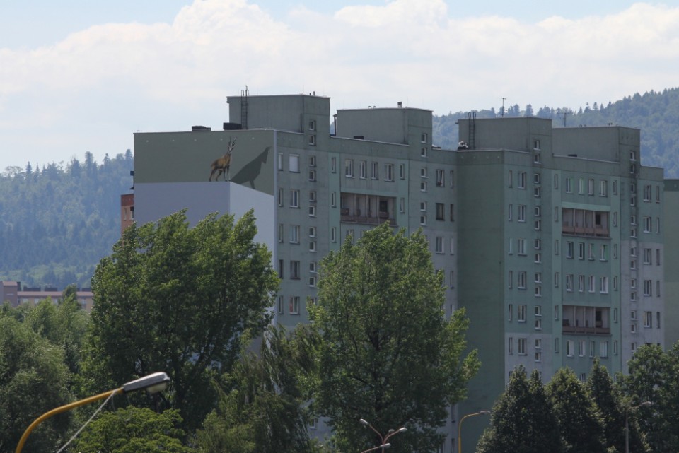„Radioamator” w BIelsku-Białej