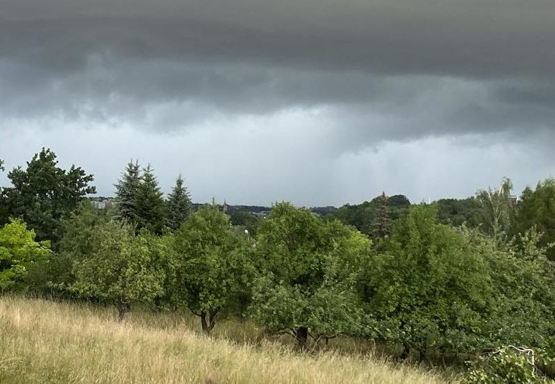 Wiatr powalił wiele drzew. Zablokowane drogi