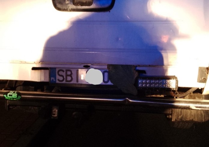 Chciał nabrać policję na liść kapusty