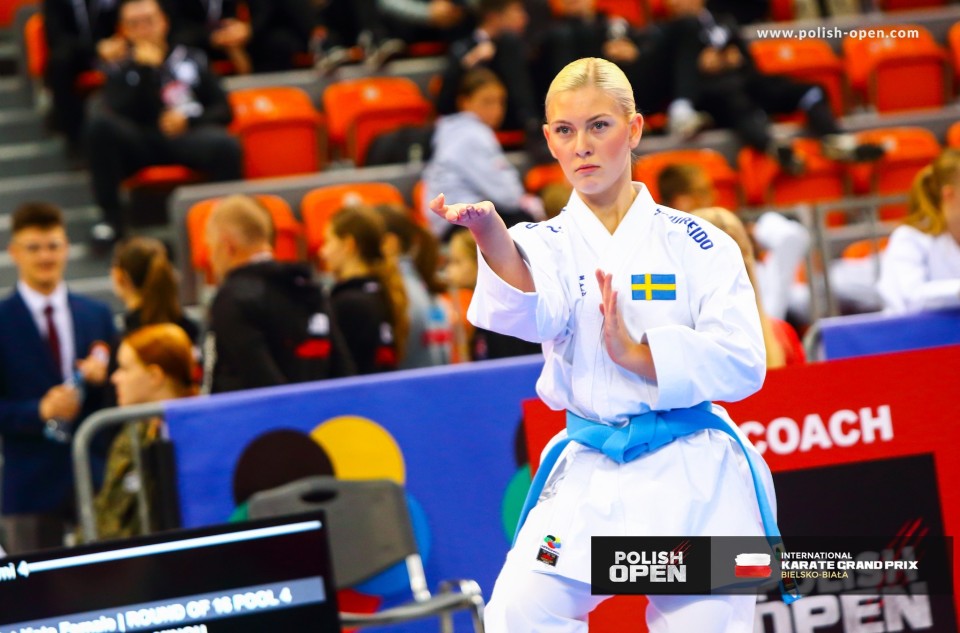 Jeden z największych i najbardziej prestiżowych turniejów karate w Europie, już w sobotę w Bielsku-Białej(zdjęcia)