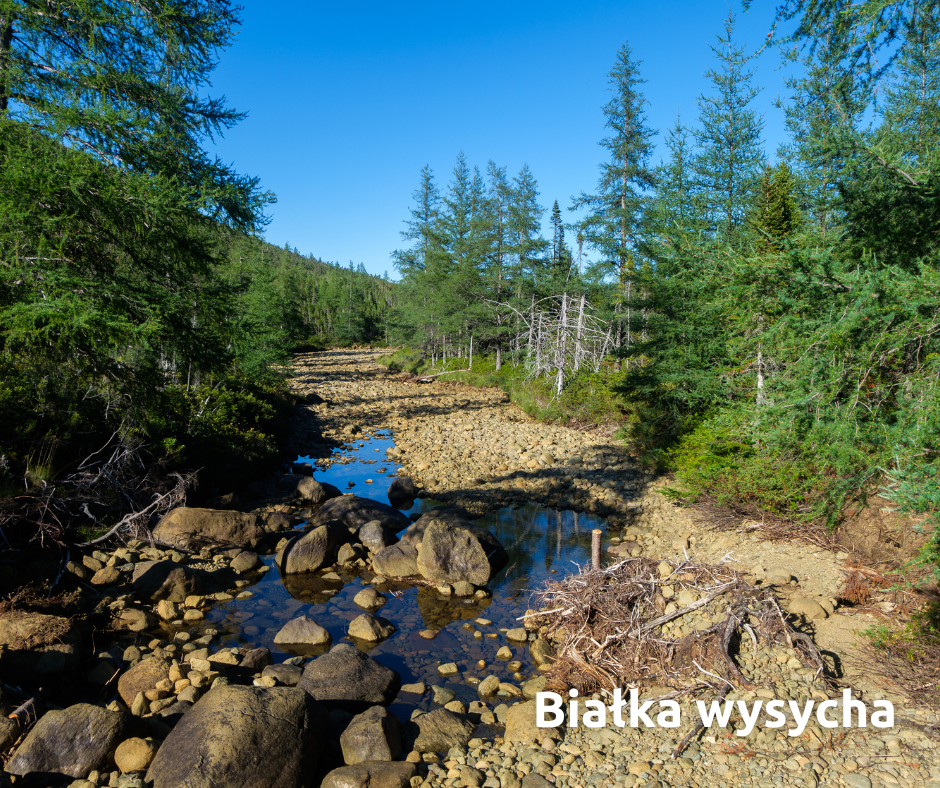 Woda w Białce poniżej minimum!