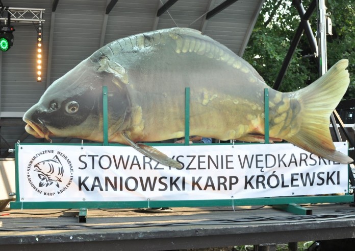 Święto Karpia w Kaniowie