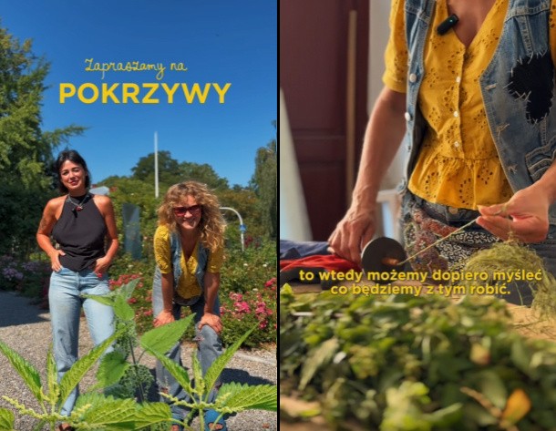 Potrzebni wolontariusze do ekoartystycznego projektu
