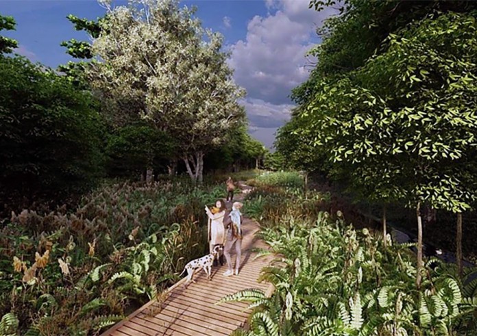 Park Skarżyńskiego: bardziej zielono i pożytecznie