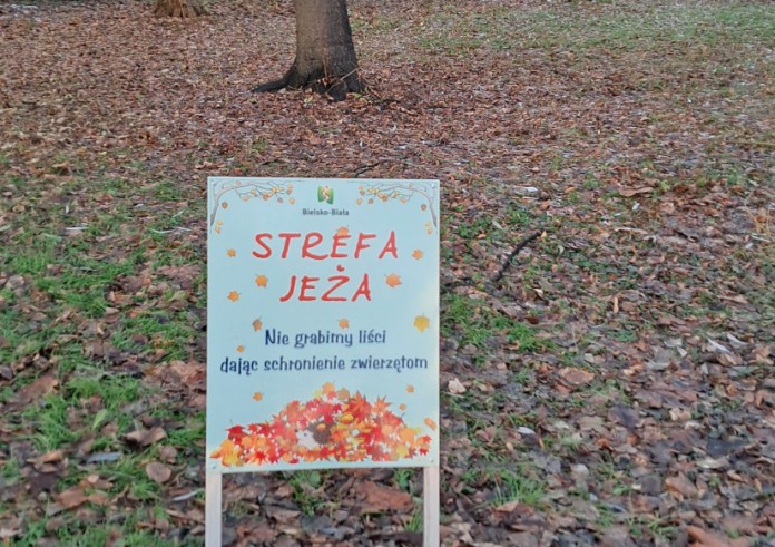 Bielsko-Biała kocha jeże