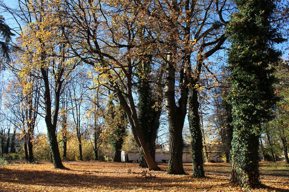 Szpitalny park do odnowy